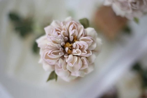 IMG_2439 IMG_2439