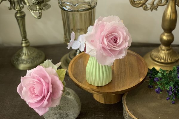 IMG_1130 IMG_1130