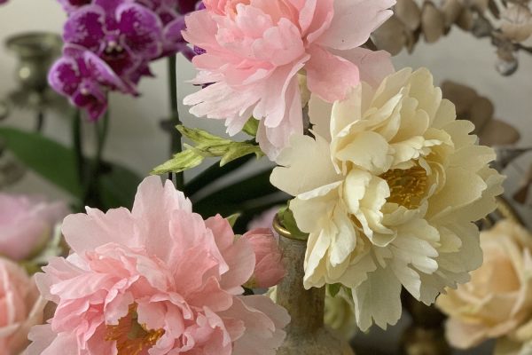 IMG_1840 IMG_1840