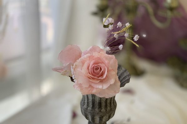 IMG_2410 IMG_2410