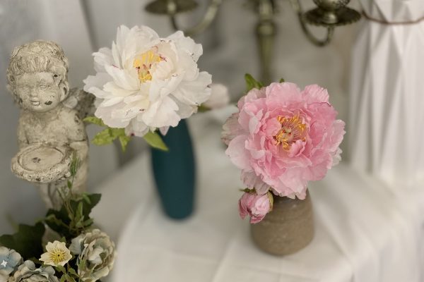 IMG_3105 IMG_3105