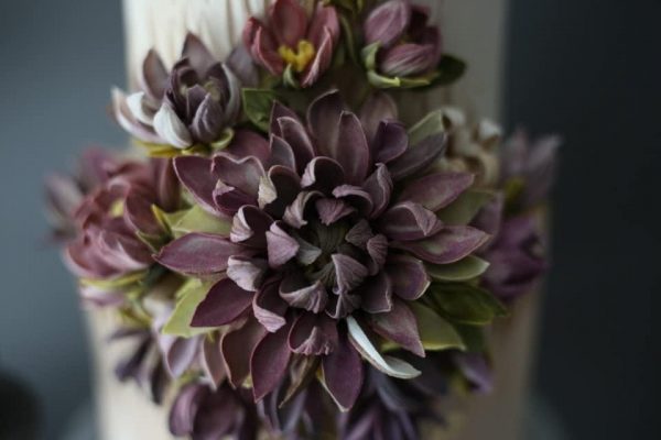 IMG_2449 IMG_2449